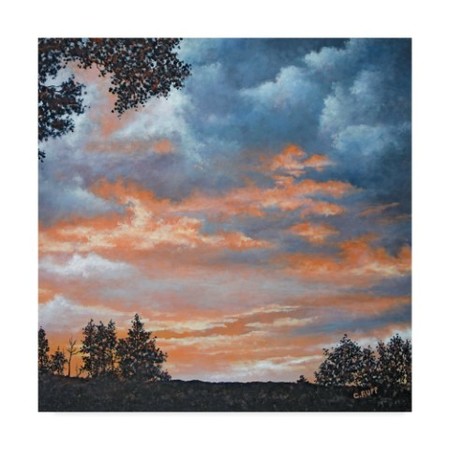 Trademark Fine Art Carol J Rupp 'Orange Glow' Canvas Art, 14x14 ALI39823-C1414GG